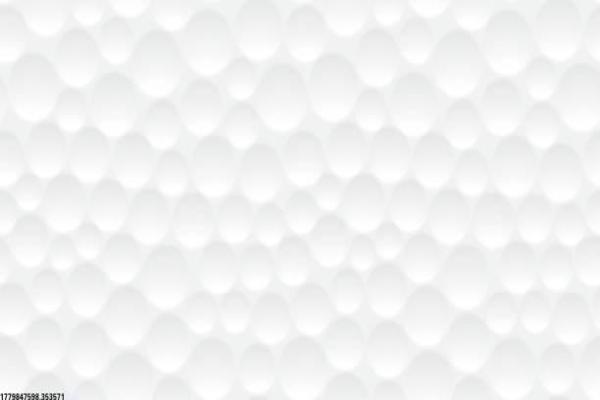 国家最新体育培训相关政策解读